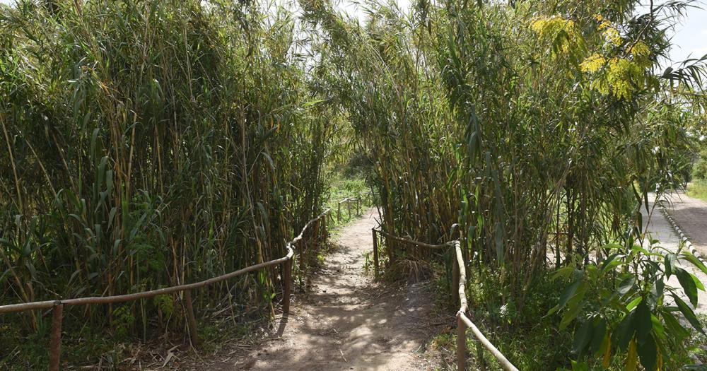 Celebran el Diacutea de la Reserva Santa Catalina con actividades gratuitas