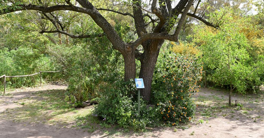 Celebran el Diacutea de la Reserva Santa Catalina con actividades gratuitas