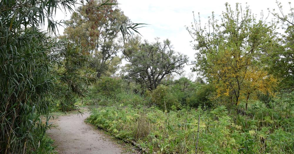 Celebran el Diacutea de la Reserva Santa Catalina con actividades gratuitas