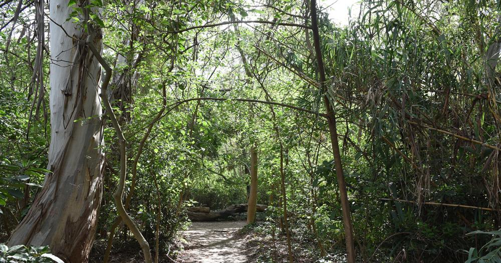 Celebran el Diacutea de la Reserva Santa Catalina con actividades gratuitas