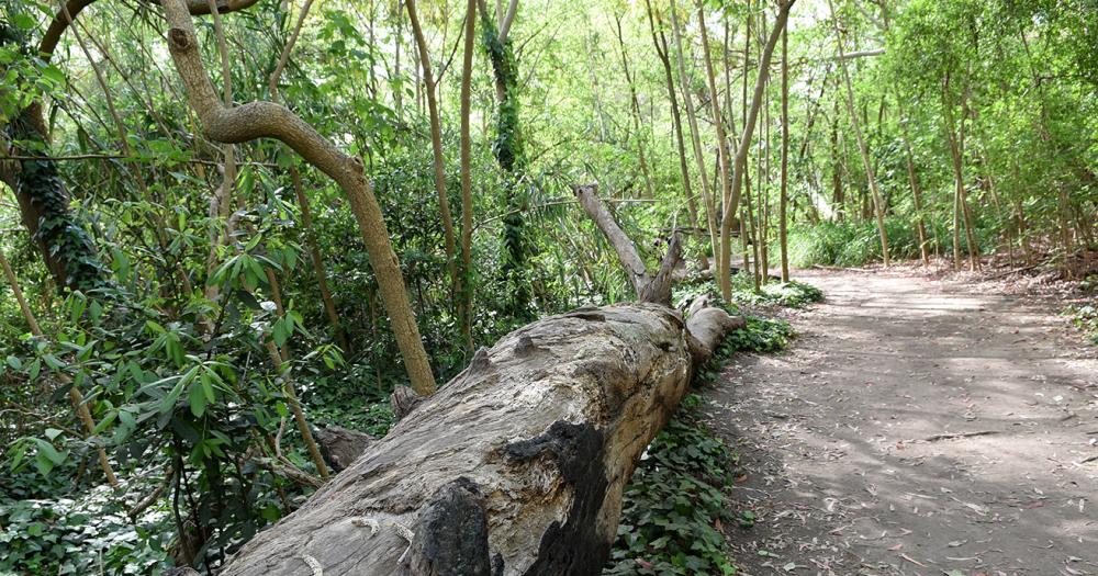 Celebran el Diacutea de la Reserva Santa Catalina con actividades gratuitas