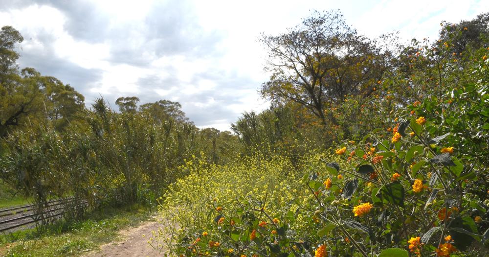 Celebran el Diacutea de la Reserva Santa Catalina con actividades gratuitas