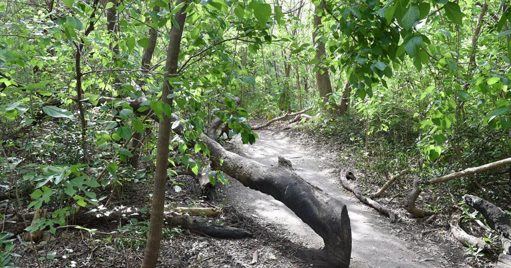 Celebran el Diacutea de la Reserva Santa Catalina con actividades gratuitas
