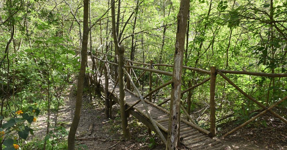 Celebran el Diacutea de la Reserva Santa Catalina con actividades gratuitas