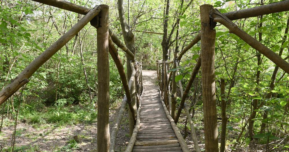 Celebran el Diacutea de la Reserva Santa Catalina con actividades gratuitas