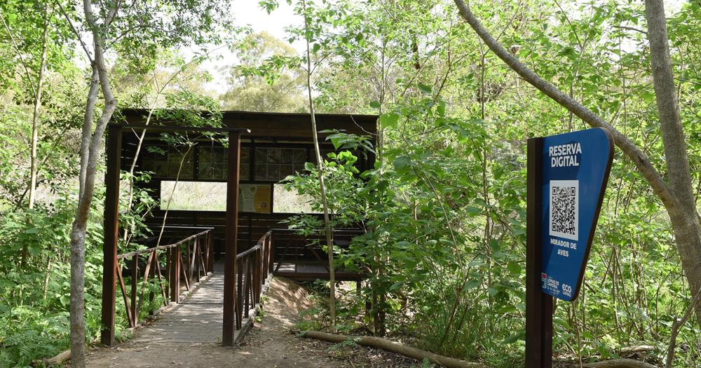 Celebran el Diacutea de la Reserva Santa Catalina con actividades gratuitas