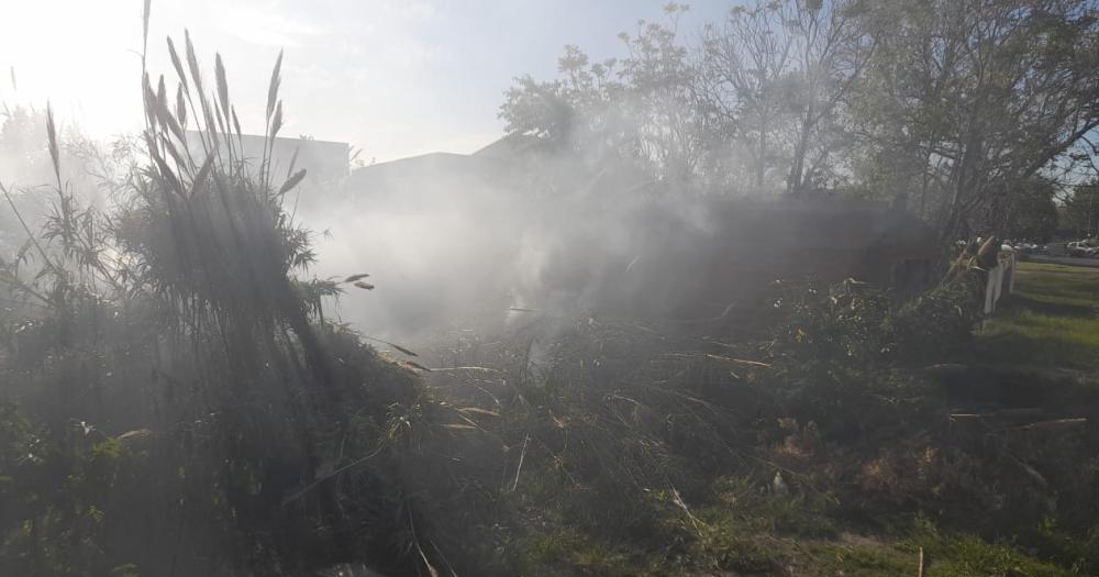 Los Bomberos evitaron que se propagara un incendio intencional en Lomas