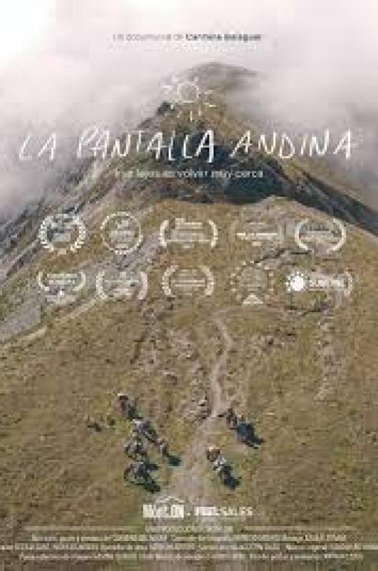 La pantalla andina