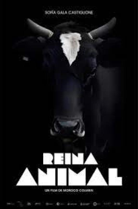 Reina Animal