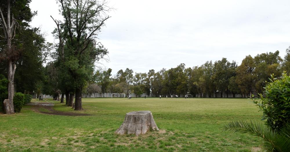 El Euskal Echea mucho maacutes que un colegio- su historia en Llavallol