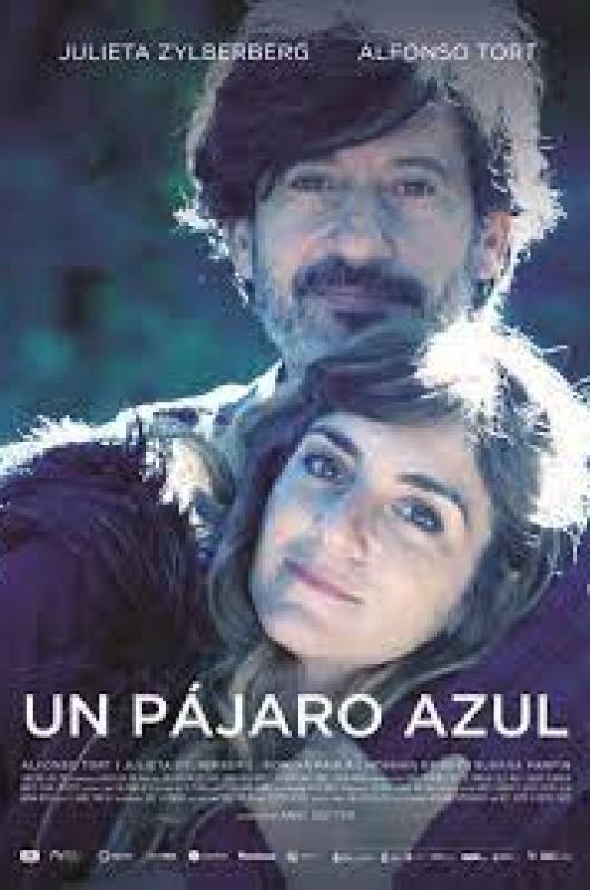 Un paacutejaro azul