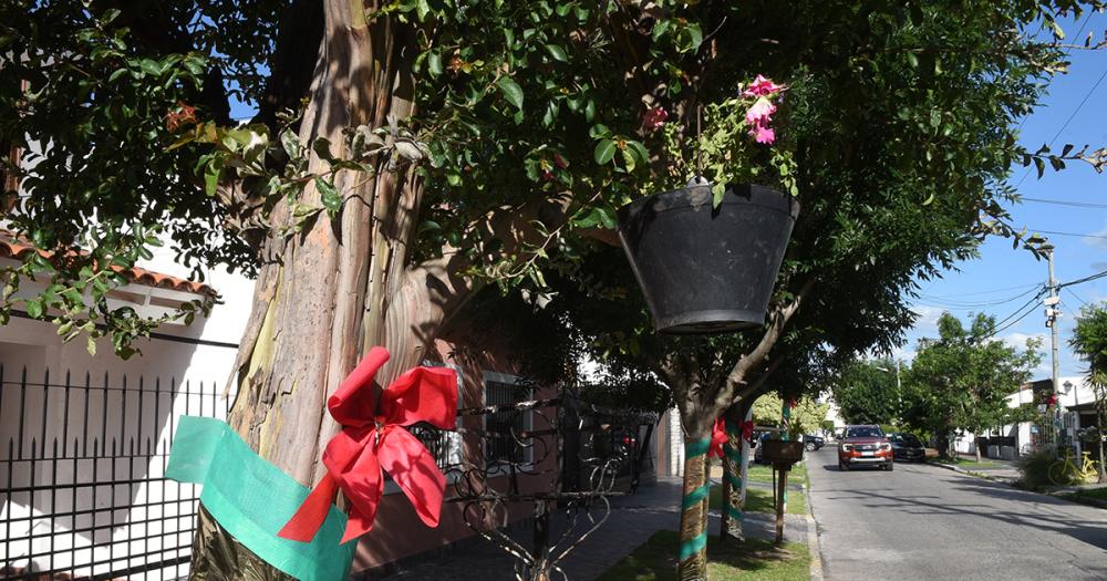 Decoraron las calles de Turdera con adornos de Navidad