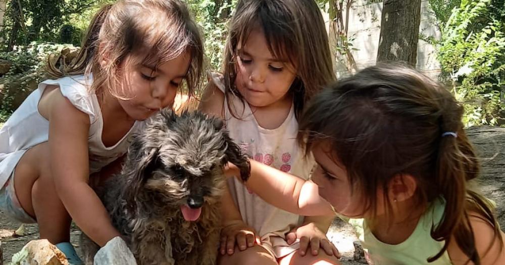 Se hicieron amigas de la perrita cordobesa Luna