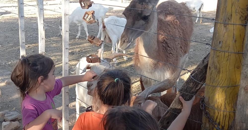 Una reserva las invitó a que las tres se encarguen de alimentar a los animales del lugar