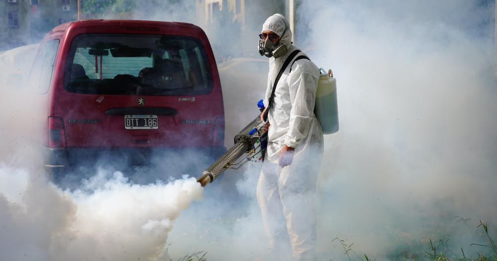 Siguen los operativos para controlar la proliferacioacuten de mosquitos en Lomas