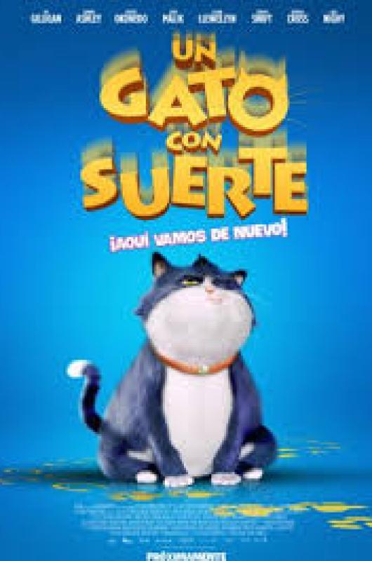 Un gato con suerte