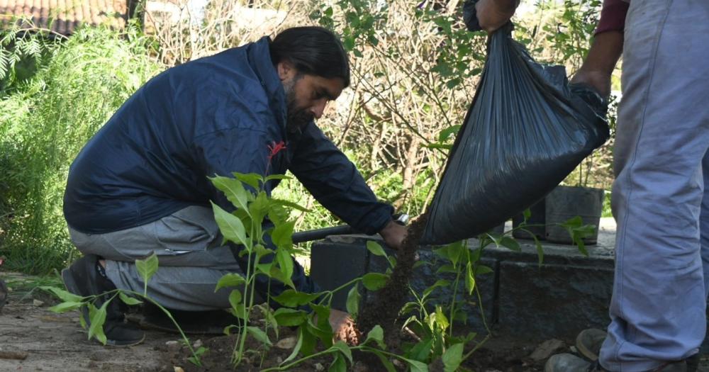 Jornada de forestación en la Plaza Steinberg de Lomas Centro