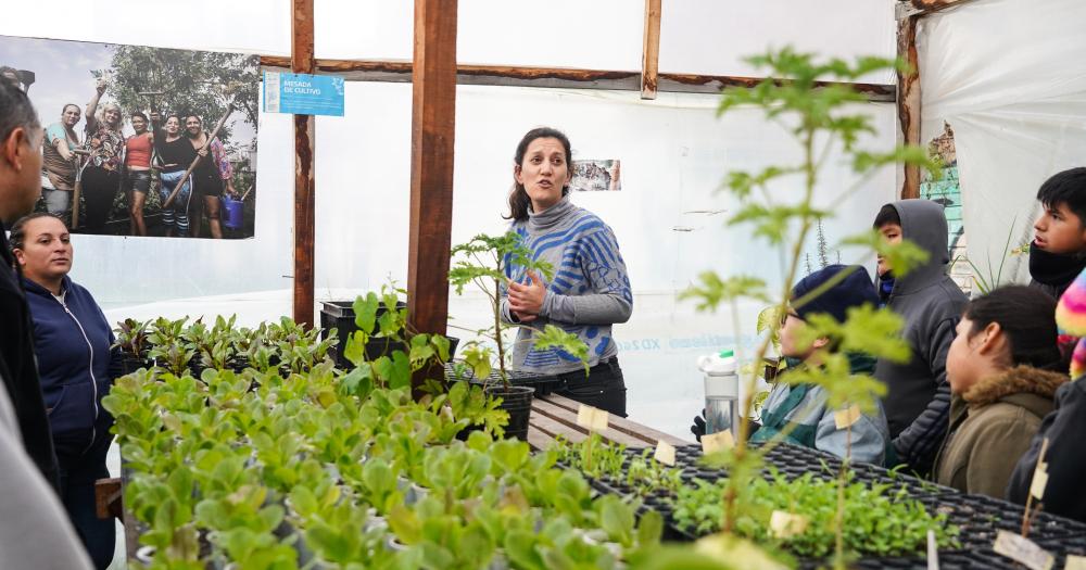 Dan herramientas a los vecinos para que incorporen hbitos saludables