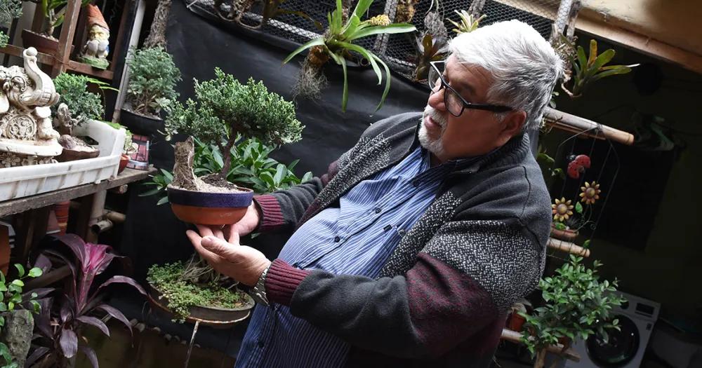 Héctor expondr y vender ejemplares de bonsi durante las distintas fechas de la feria