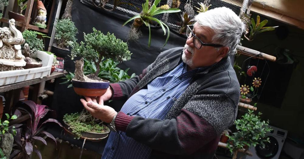 Héctor expondr y vender ejemplares de bonsi durante las distintas fechas de la feria