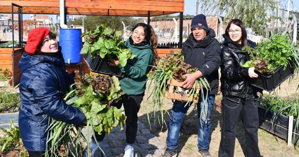 Hicieron cosechas solidarias en los parques Maradona (Fiorito) y Llavallol