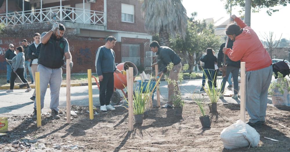 La limpieza se complementa con plantaciones de especies nativas