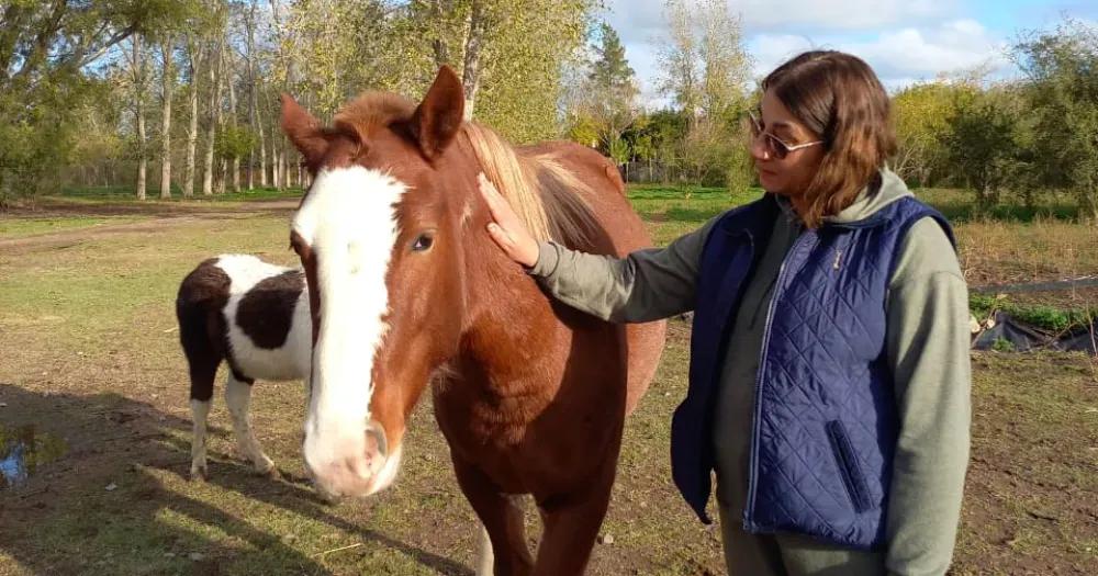 La colecta est a cargo de Caballos Libres del Sur