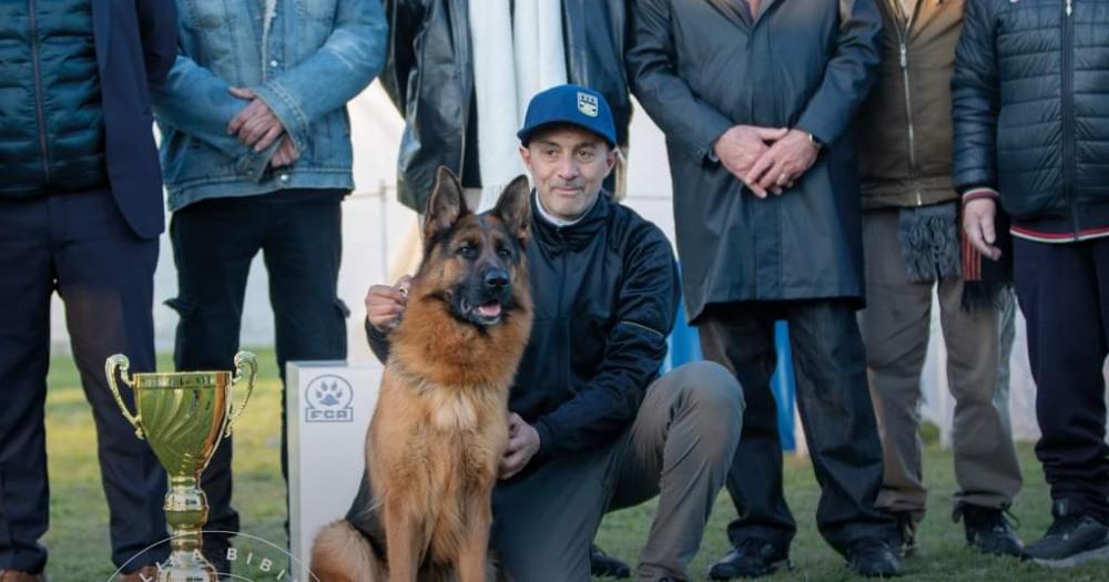 El ganador del trofeo se lo llevó el ovejero alemn