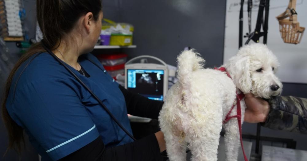 El hospital tiene profesionales y equipamiento de primer nivel