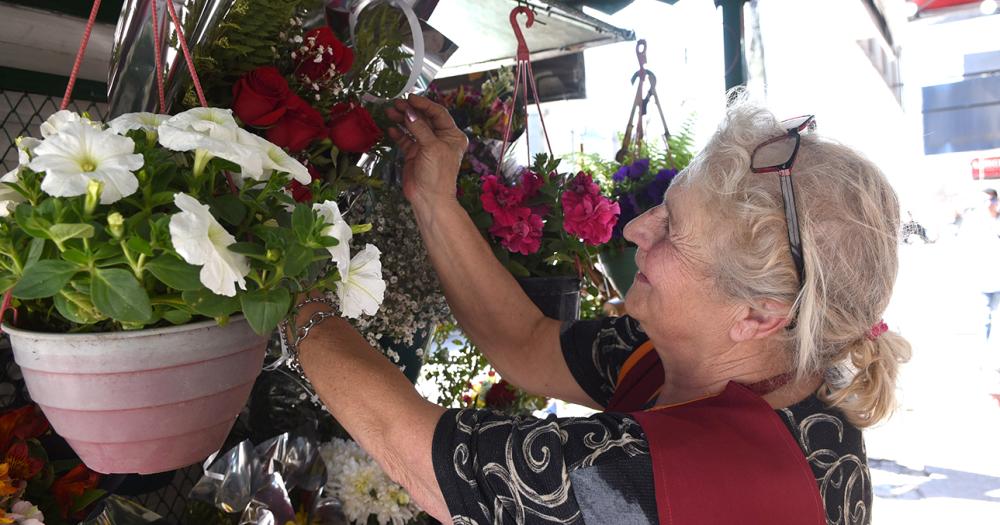 Diacutea de la Primavera- las rosas como reinas y las flores amarillas como boom