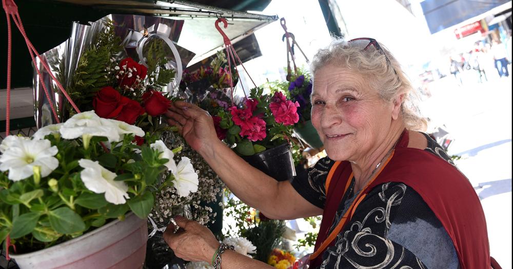 Diacutea de la Primavera- las rosas como reinas y las flores amarillas como boom