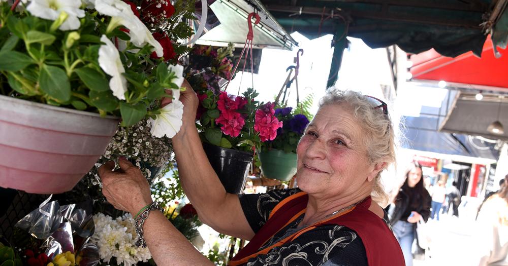 Diacutea de la Primavera- las rosas como reinas y las flores amarillas como boom