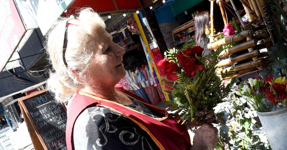 Diacutea de la Primavera- las rosas como reinas y las flores amarillas como boom