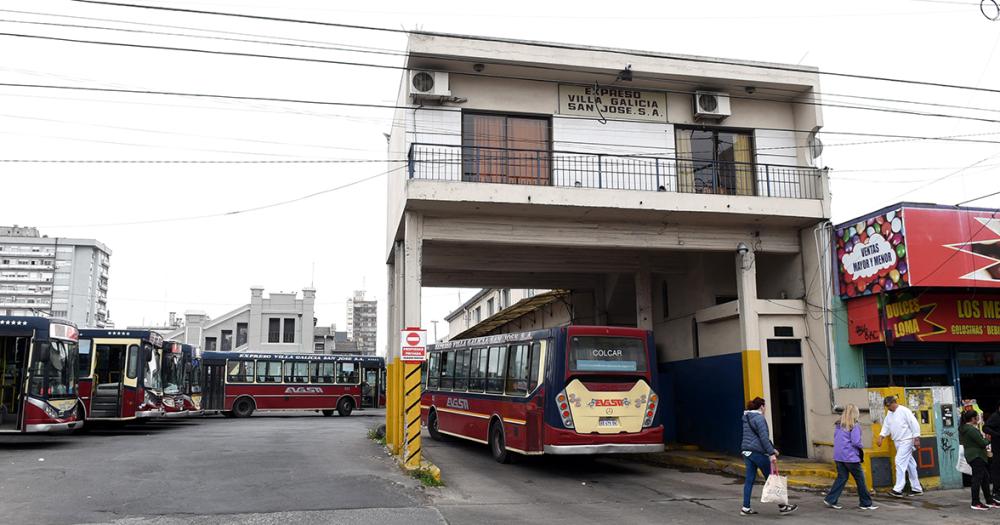 Diacutea del Colectivo- brindar un servicio de calidad pese a las adversidades