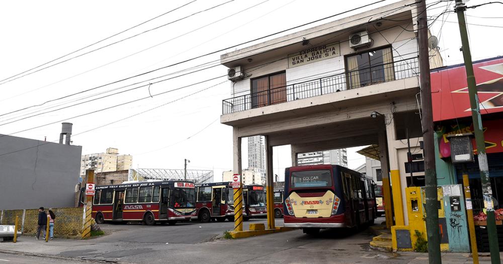 Diacutea del Colectivo- brindar un servicio de calidad pese a las adversidades