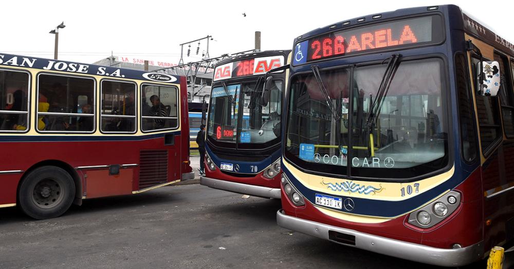 Diacutea del Colectivo- brindar un servicio de calidad pese a las adversidades