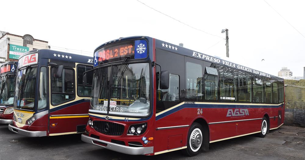 Diacutea del Colectivo- brindar un servicio de calidad pese a las adversidades