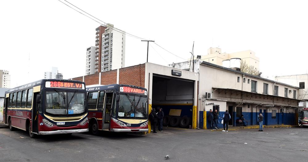 Diacutea del Colectivo- brindar un servicio de calidad pese a las adversidades