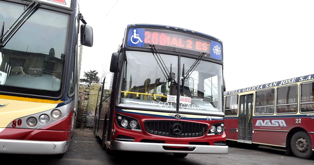 Diacutea del Colectivo- brindar un servicio de calidad pese a las adversidades