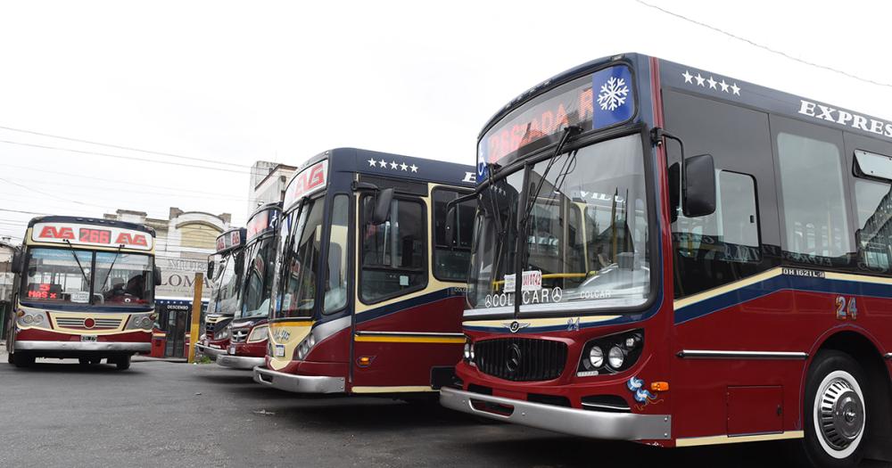 Diacutea del Colectivo- brindar un servicio de calidad pese a las adversidades