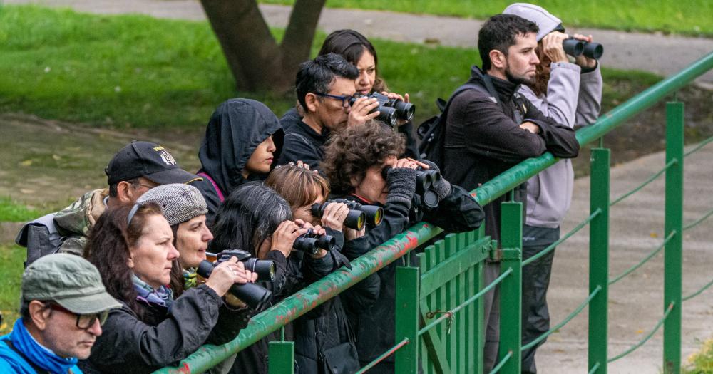 El curso incluye avistamientos y salidas coordinadas por especialistas