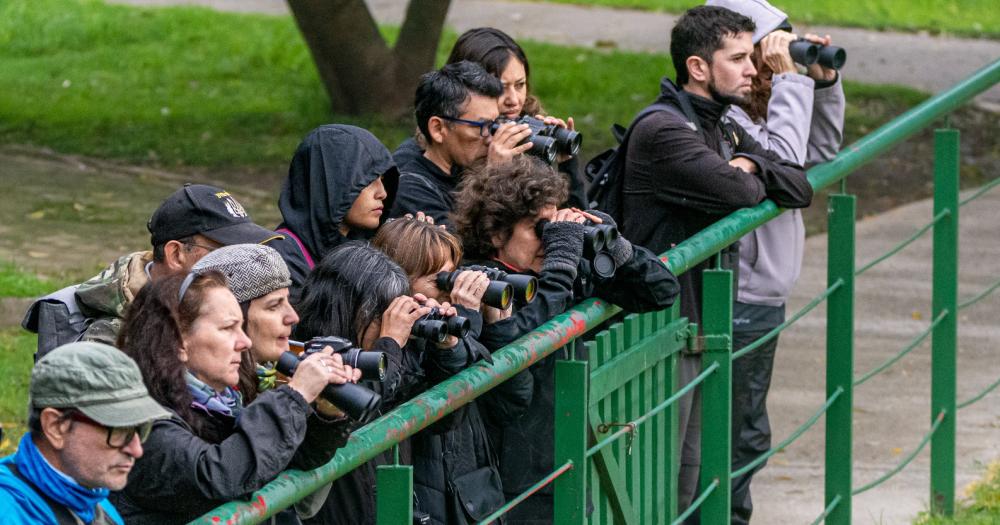 El curso incluye avistamientos y salidas coordinadas por especialistas