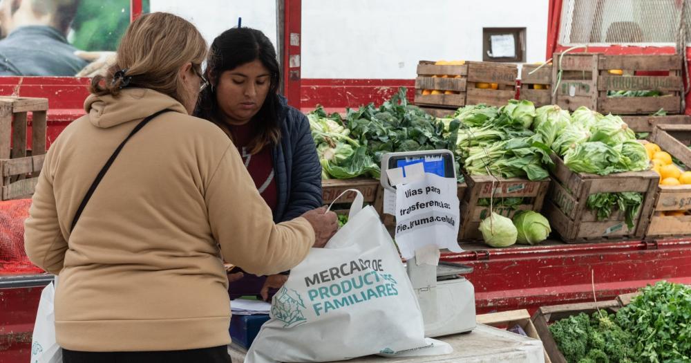 Vendern carnes verduras frutas lcteos pastas y panificados