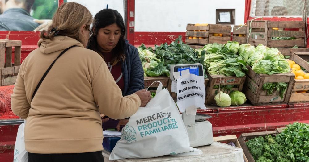 Vender?n carnes verduras frutas l?cteos pastas y panificados