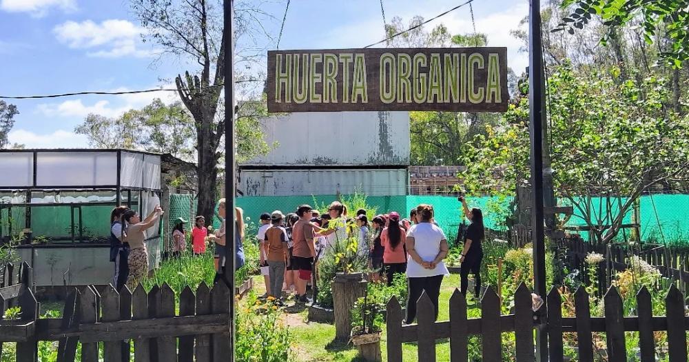 Estudiantes recorren la huerta y aprenden sobre producción de alimentos