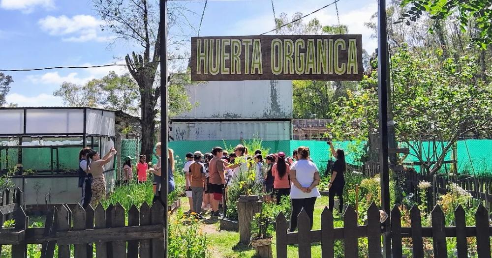 Estudiantes recorren la huerta y aprenden sobre producción de alimentos