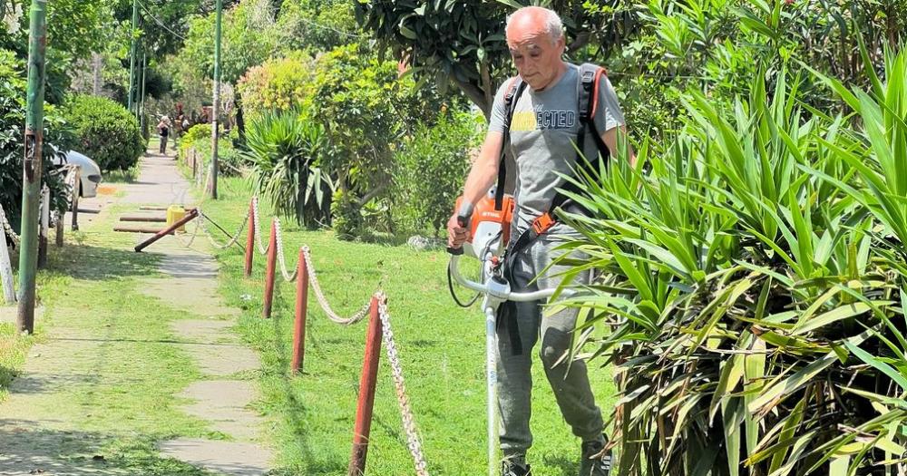 Se organizan por manzanas para llegar a todos los rincones del barrio