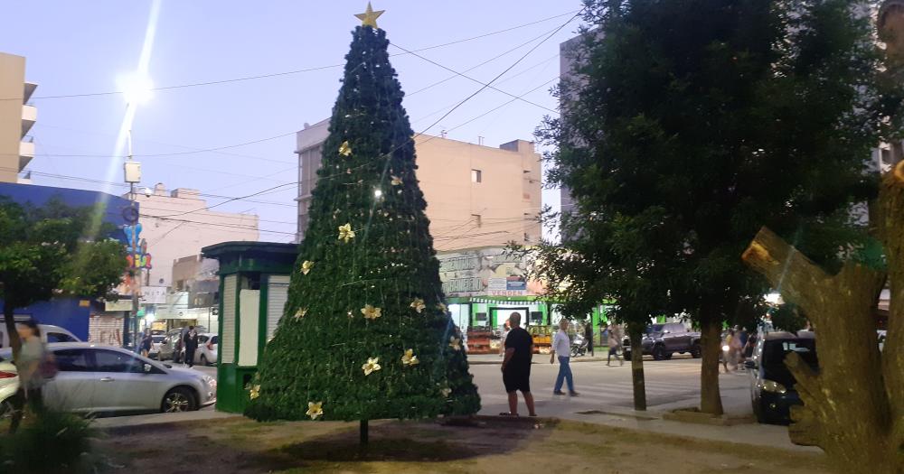 El ?rbol va a ser bendecido y luego quedar? iluminado