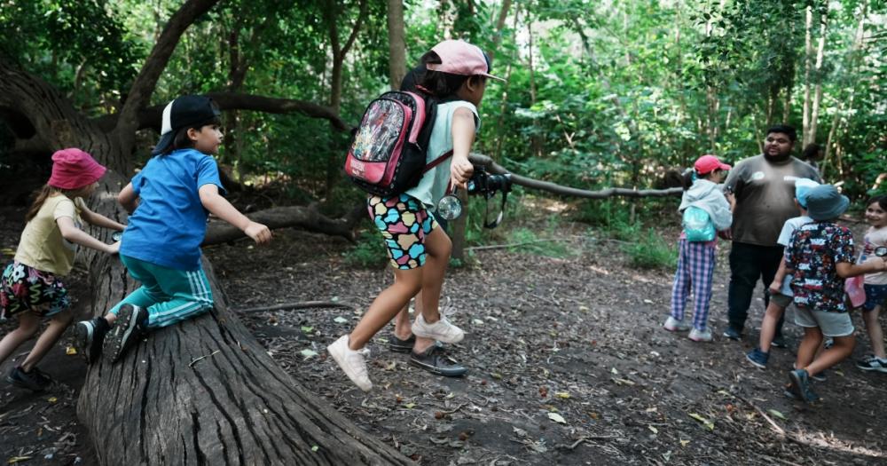 Chicas y chicos tendrn varias opciones para disfrutar de la naturaleza