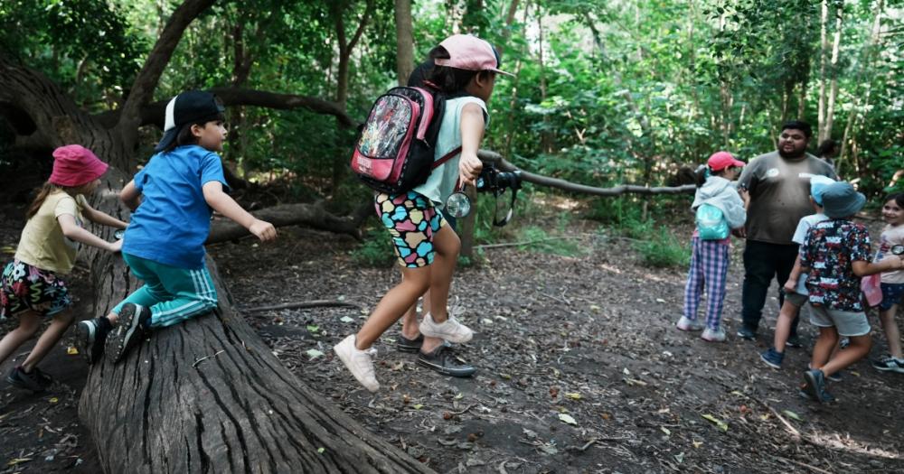 Chicas y chicos tendr?n varias opciones para disfrutar de la naturaleza